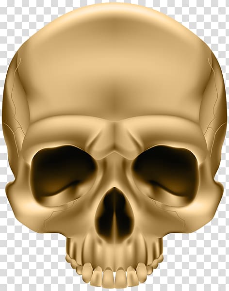 Skull and crossbones Decal Sticker Human skull symbolism, king skull transparent background PNG clipart