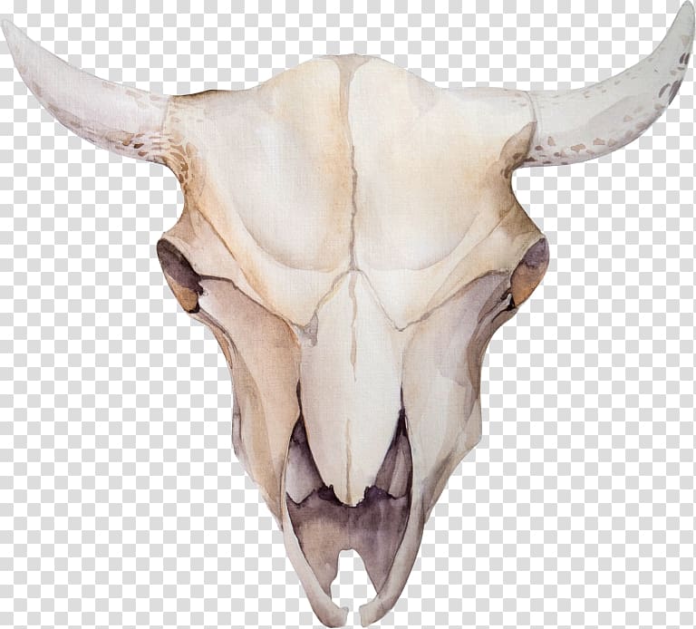Cattle Skull Flower Floral design, skull transparent background PNG clipart