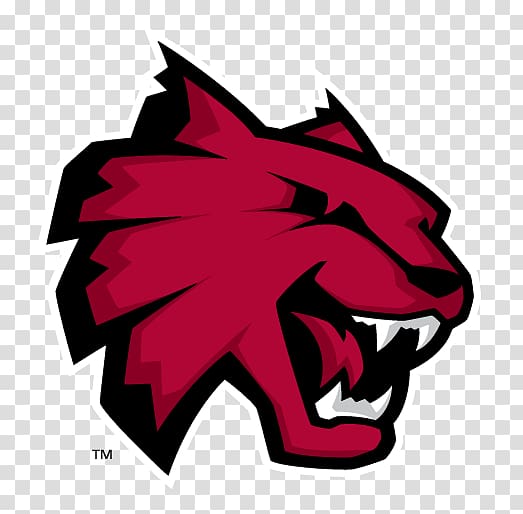 Central Washington University Montana State University Billings Highline College Central Washington Wildcats football, student transparent background PNG clipart