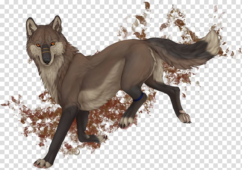 Coyote Dog Gray wolf Basior Pack, Dog transparent background PNG clipart