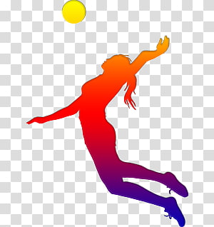 Volleyball transparent background PNG cliparts free download | HiClipart