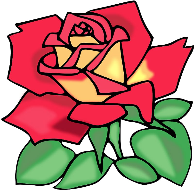 Black rose Blog , Flash Animation transparent background PNG clipart