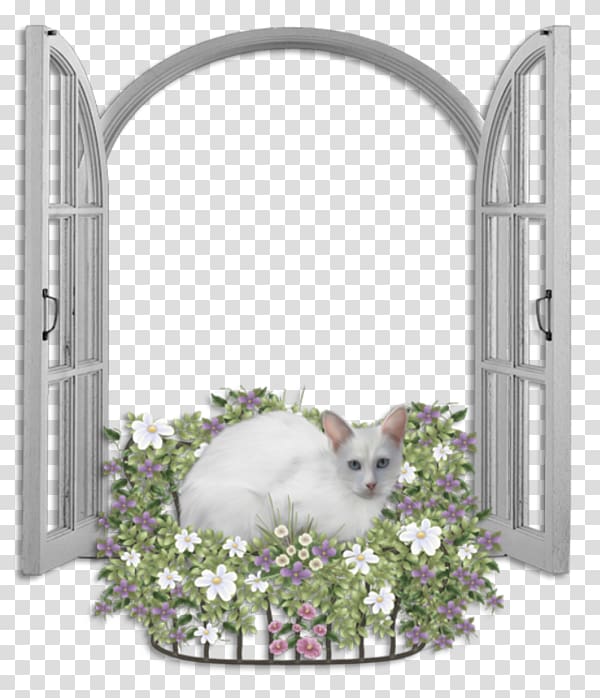 Cat Window Kitten , Cat on the window transparent background PNG clipart