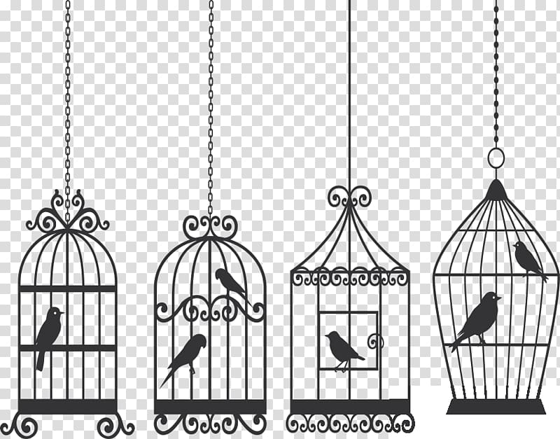 Birdcage Lovebird, arabesco transparent background PNG clipart