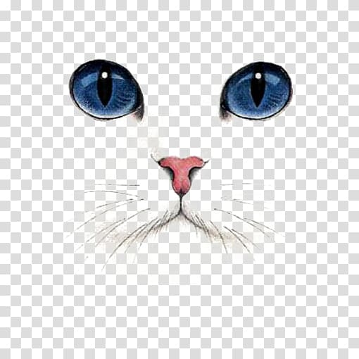 British Shorthair Kitten Dog Tabby cat, Hand Painted Cat, blue-eyed cat illustration transparent background PNG clipart