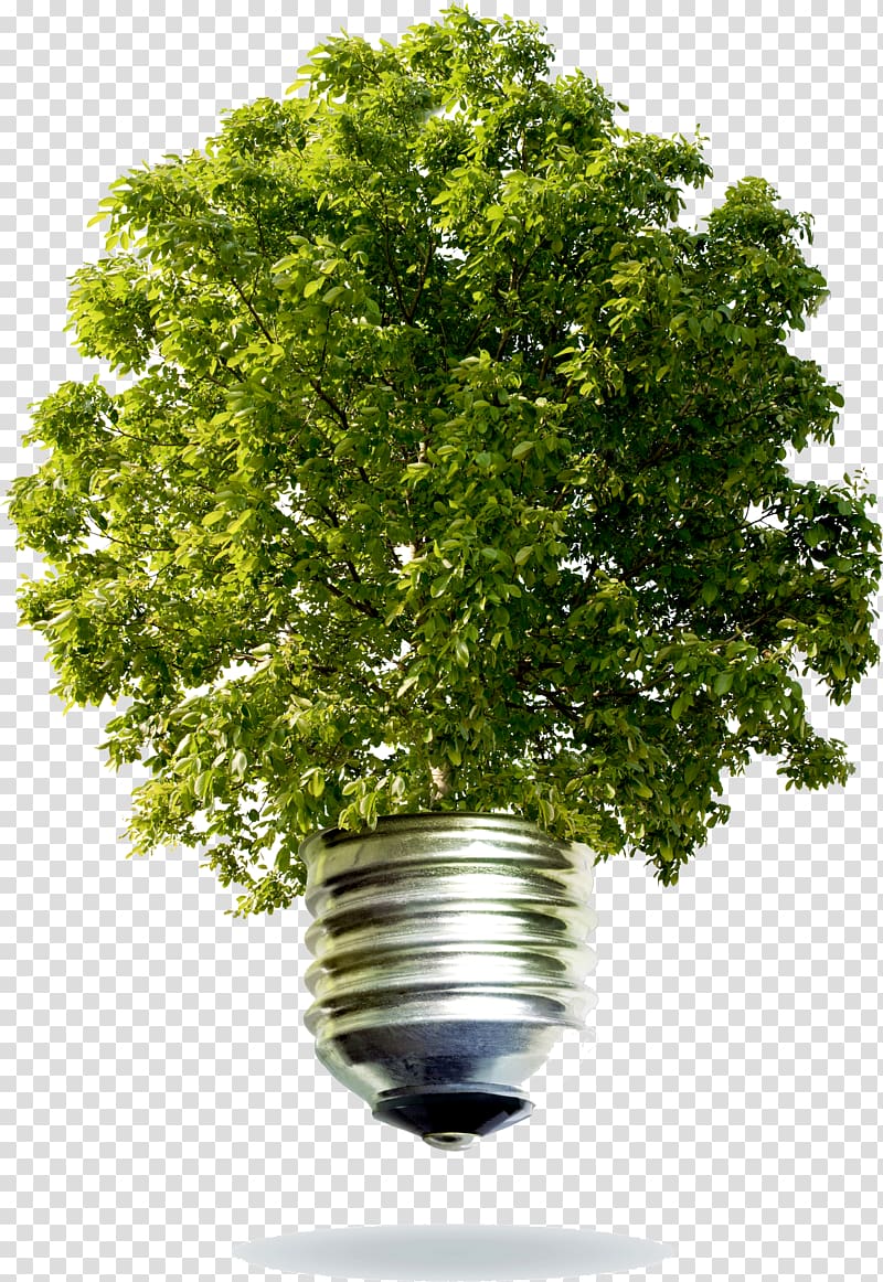 creative energy saving bulb tree transparent background PNG clipart
