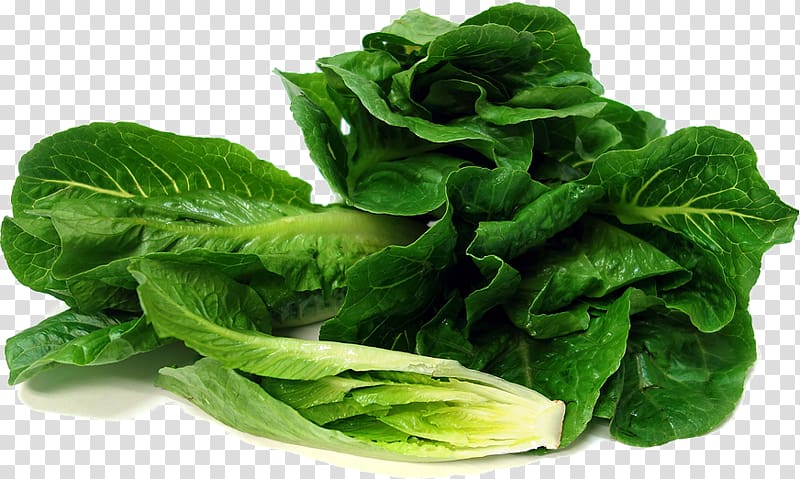 Spinach salad Red leaf lettuce Romaine lettuce Leaf vegetable, salad transparent background PNG clipart
