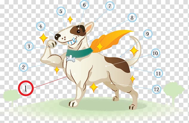 Puppy Dog Ma-Mha Health Mammal, Healthy check transparent background PNG clipart