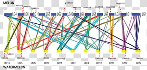 Line Point Angle Font, line transparent background PNG clipart thumbnail