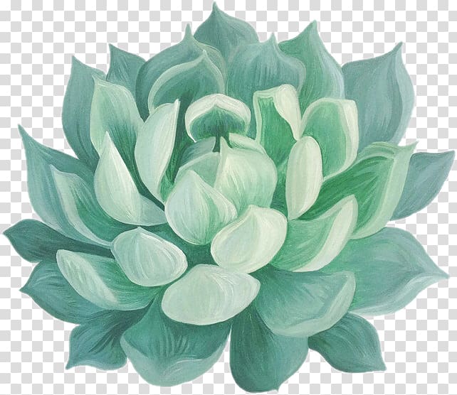 Succulent plant Paper Drawing Watercolor painting, painting transparent background PNG clipart