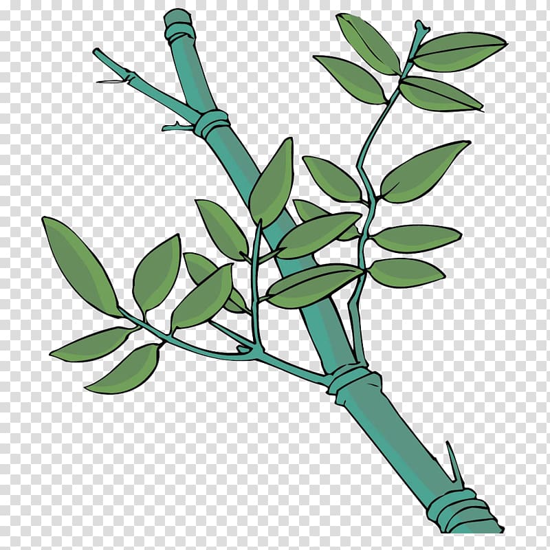 Leaf Cartoon, bamboo transparent background PNG clipart