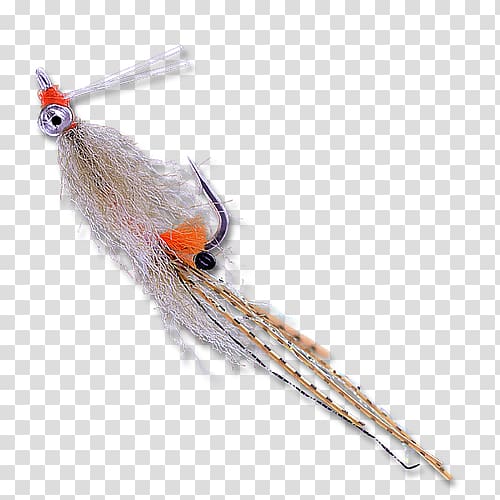 Beak Feather, Mantis Shrimp transparent background PNG clipart