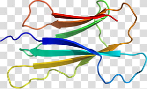 Line Point Organism , line transparent background PNG clipart thumbnail