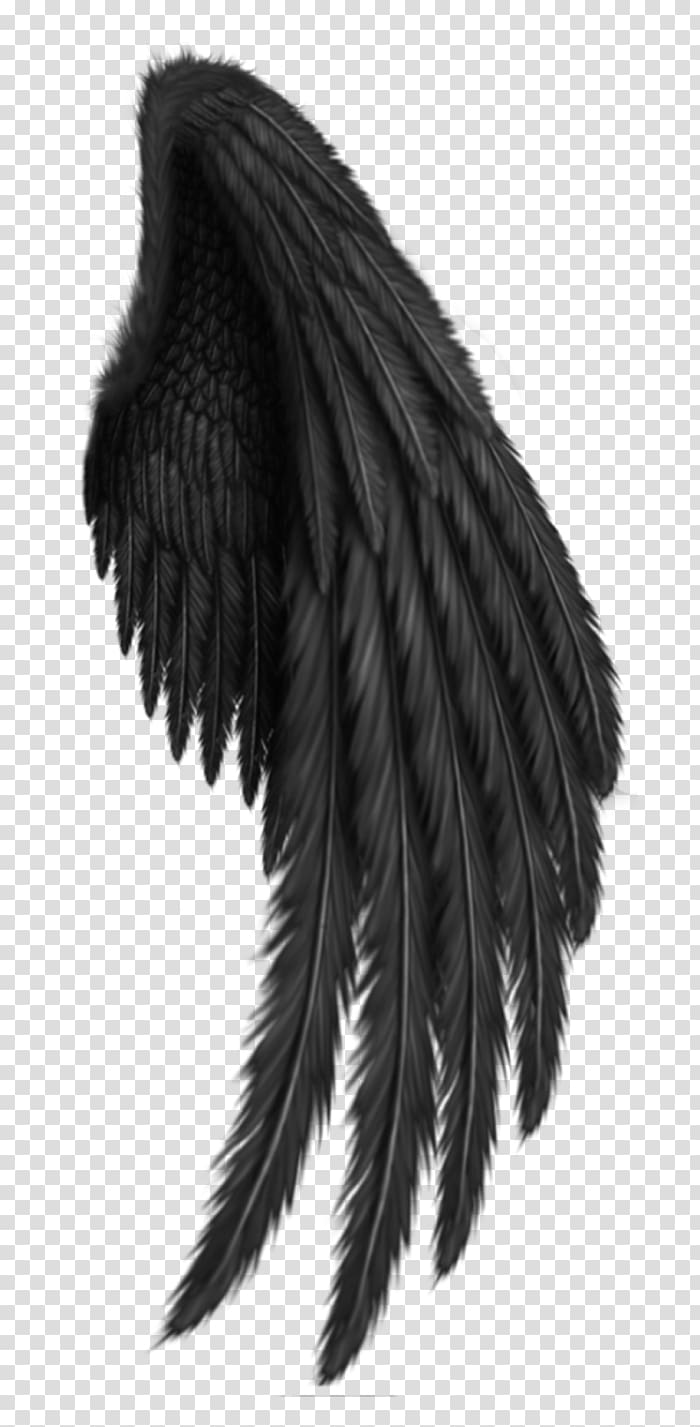 Drawing , wings transparent background PNG clipart