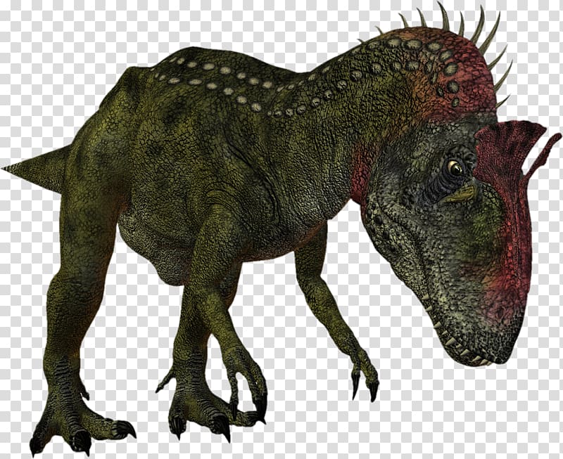 Ceratosaurus Tyrannosaurus Dinosaur Velociraptor Dilophosaurus, dinosaur transparent background PNG clipart