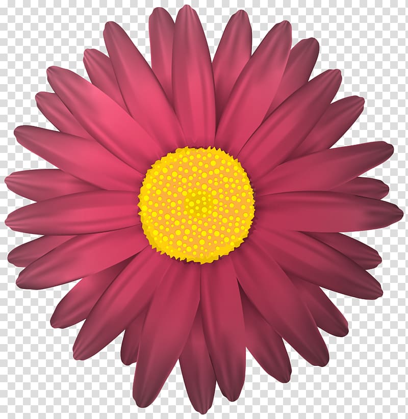 pink daisy illustration, Flower , Flower transparent background PNG clipart