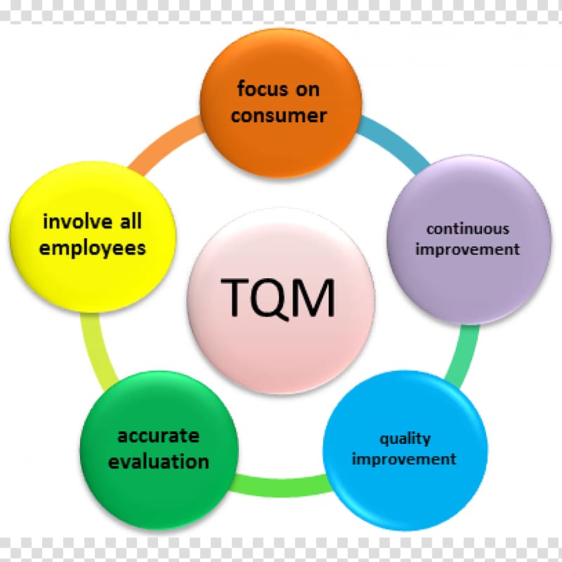 Total quality management Organization, others transparent background PNG clipart