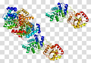 Art Line Point , line transparent background PNG clipart thumbnail