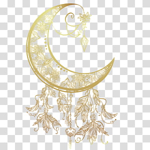 Moon Vector transparent background PNG cliparts free download