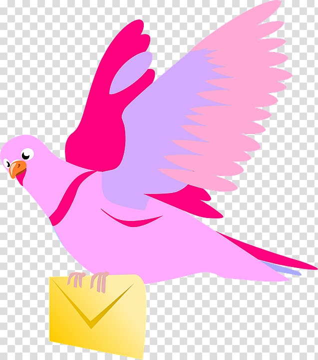 English Carrier pigeon Columbidae , pigeon transparent background PNG clipart