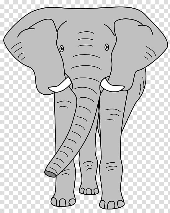 Indian elephant African elephant , Elephant Face transparent background PNG clipart