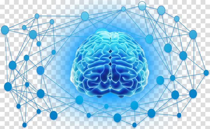 Brain Neocortex Sense, Brain transparent background PNG clipart