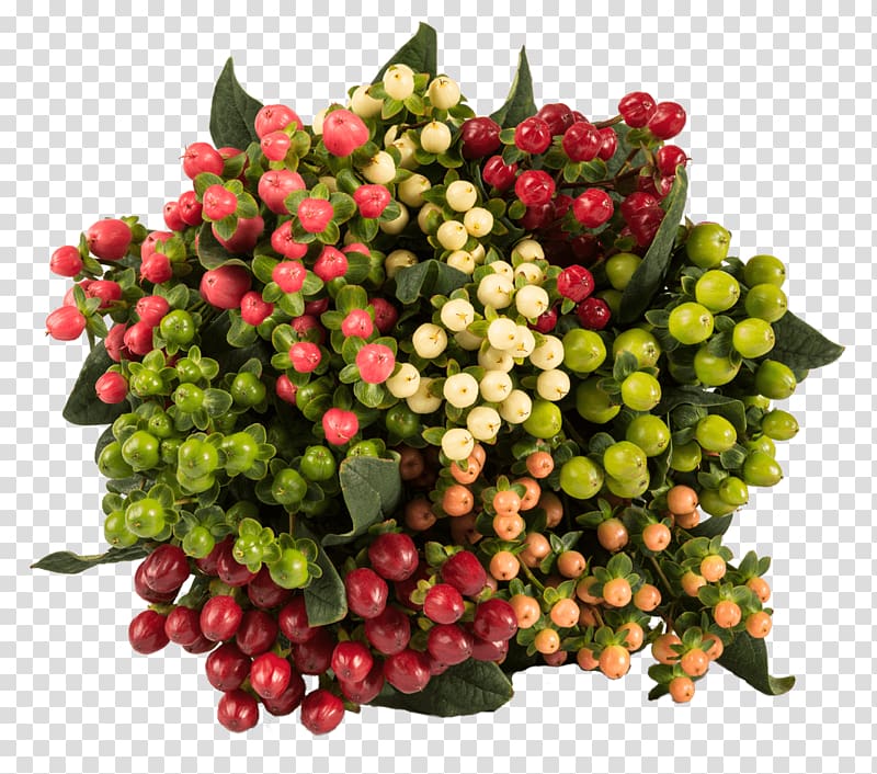 Lingonberry Cut flowers Floral design Flower bouquet, flower transparent background PNG clipart