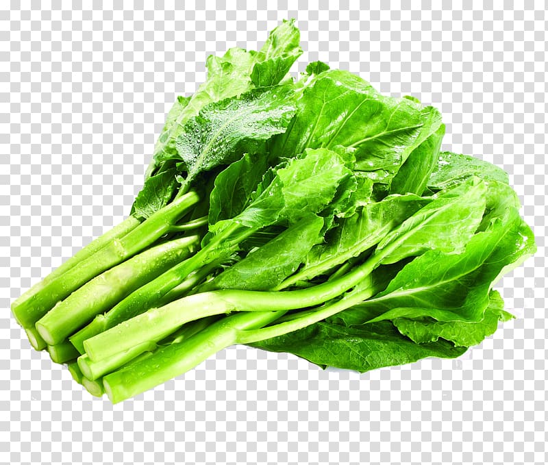 Romaine lettuce Vegetarian cuisine Kale Chinese broccoli Collard greens, Green vegetables Kale transparent background PNG clipart