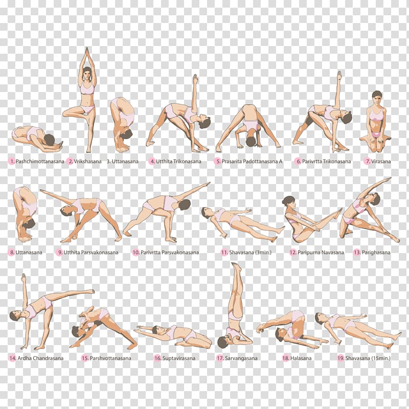 Physical exercise Yoga Asana Physical fitness, Yoga transparent background PNG clipart
