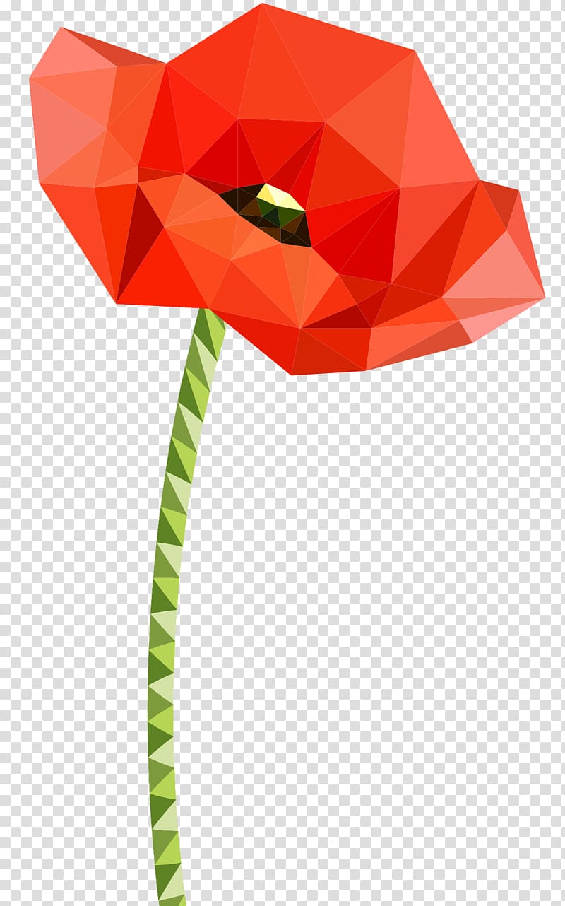 Common poppy, mayflower transparent background PNG clipart