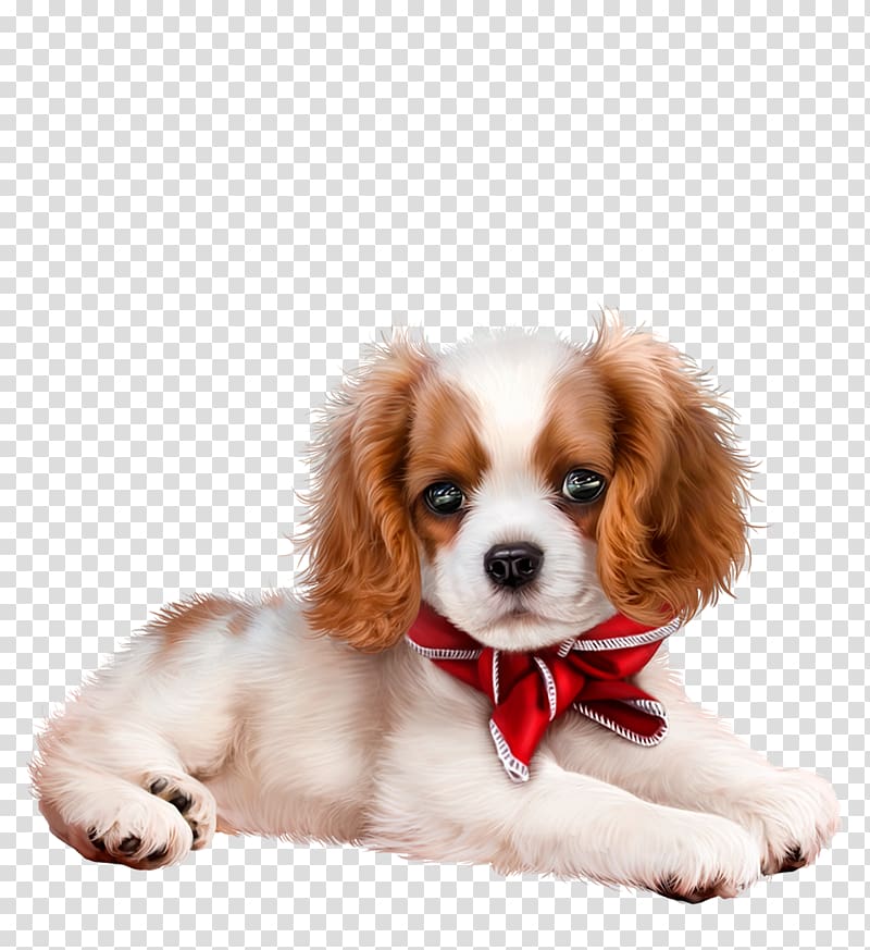 Puppy Chien de franche-comté Yorkshire Terrier Pet Animal, puppy transparent background PNG clipart