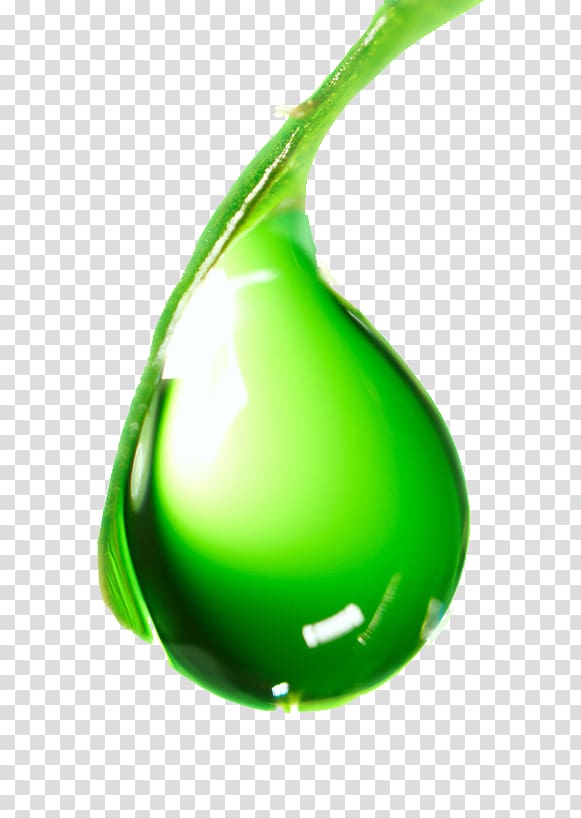 Pure-le Natural Liquid Greens Chlorophyll Pure-le Natural Liquid Greens Chlorophyll Pure-le Natural Liquid Greens Chlorophyll Water, various seaweed plants transparent background PNG clipart
