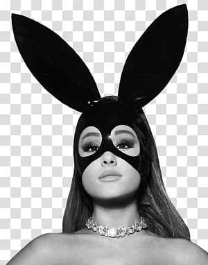 Ariana hot sale bunny costume