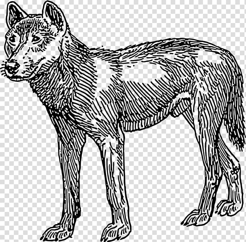 Dingo Rottweiler , others transparent background PNG clipart