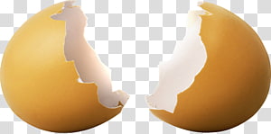 Milk Chocolate Egg That Is Broken PNG Images