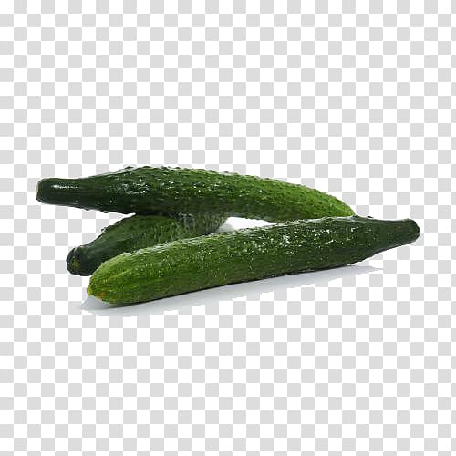 Pickled cucumber Muskmelon, Fresh Cucumber transparent background PNG clipart