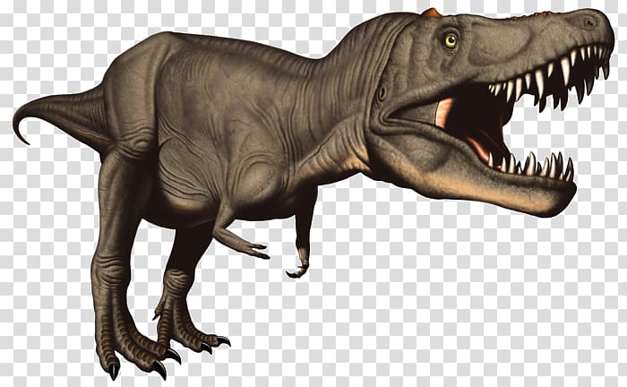 Jurassic Park III: Park Builder Tyrannosaurus rex Styracosaurus Giganotosaurus Stegosaurus, T-Rex transparent background PNG clipart