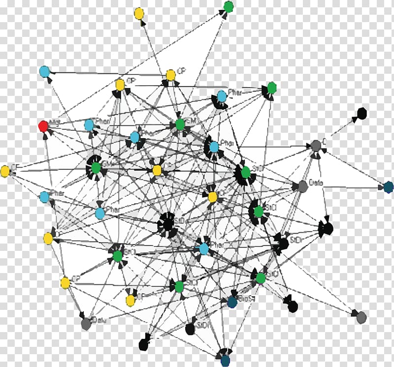 Informal organization Social network Hierarchical organization Information, social network transparent background PNG clipart