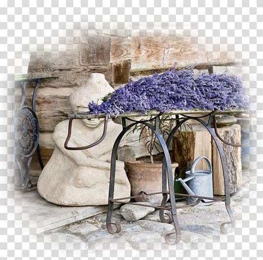 English lavender French lavender Lavender oil Provence Plant, lavande transparent background PNG clipart
