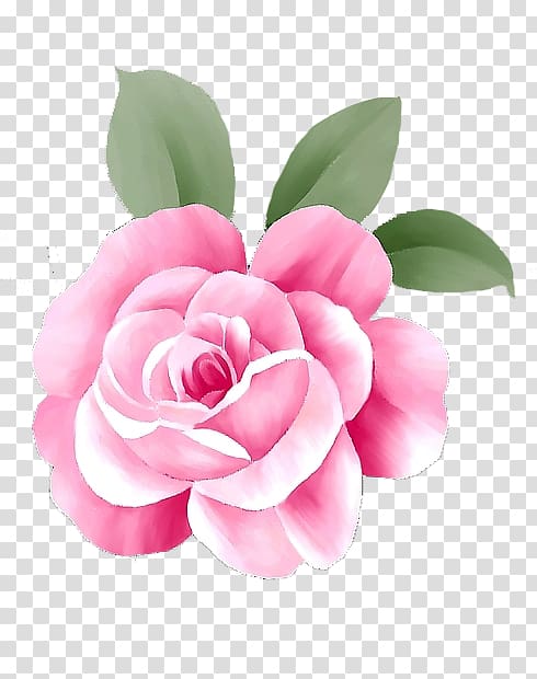 Rosa chinensis Pink Flower Computer file, Creative rose transparent background PNG clipart