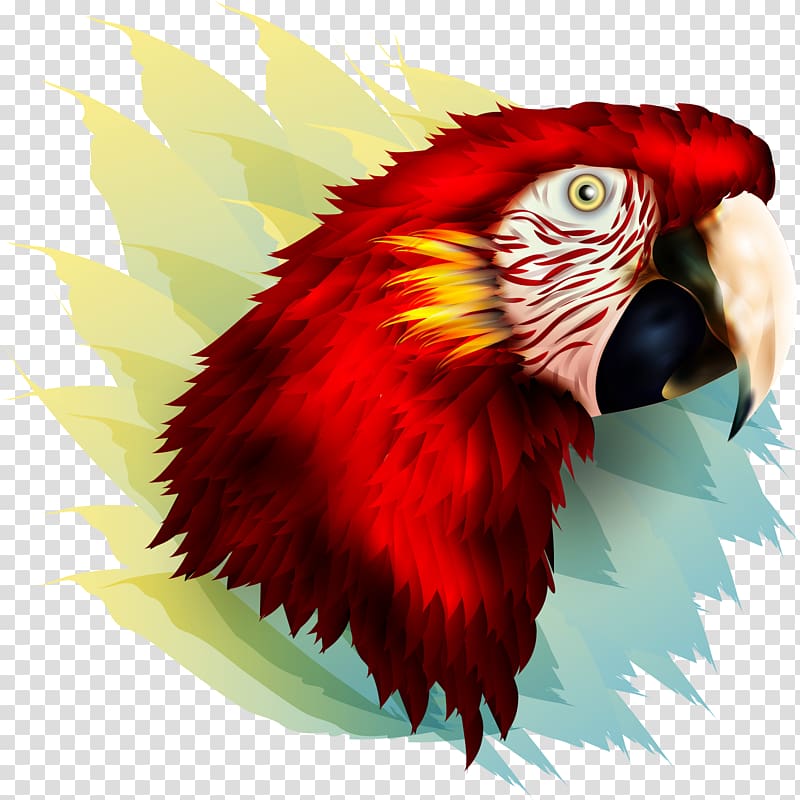 Bird Parrot Owl Beak Feather, red parrot transparent background PNG clipart