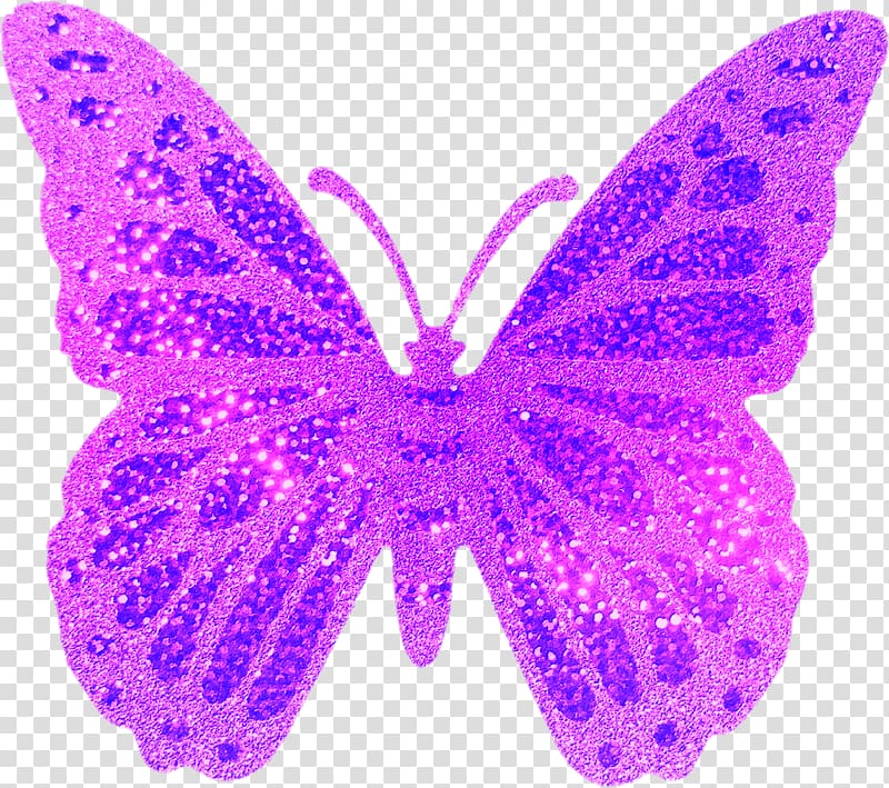 Butterflies and moths Briante Dream, butterflies transparent background PNG clipart