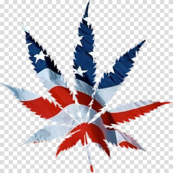 United States Medical cannabis Hash, Marihuana & Hemp Museum, american flag transparent background PNG clipart