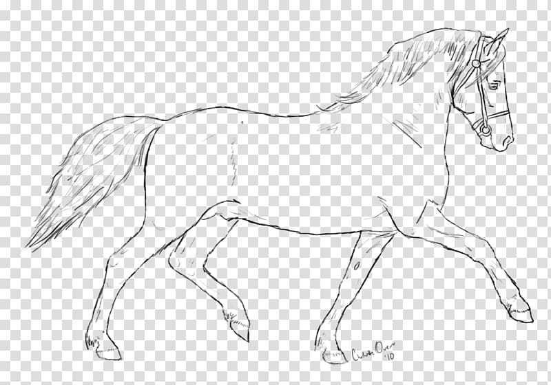 Bridle Mane Mustang Stallion Colt, mustang transparent background PNG clipart