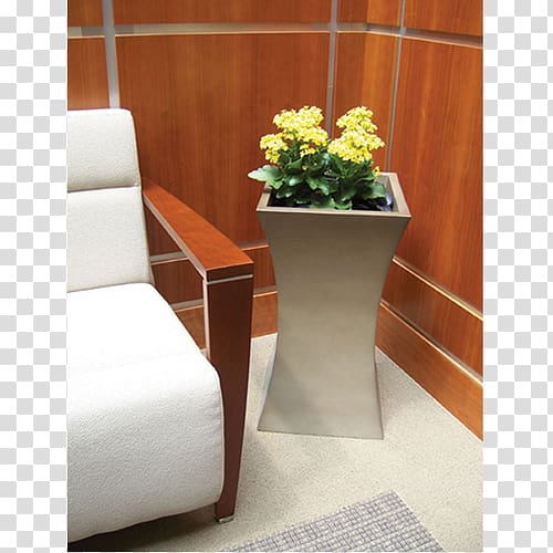 Houseplant Office Room Interior Design Services, plant transparent background PNG clipart