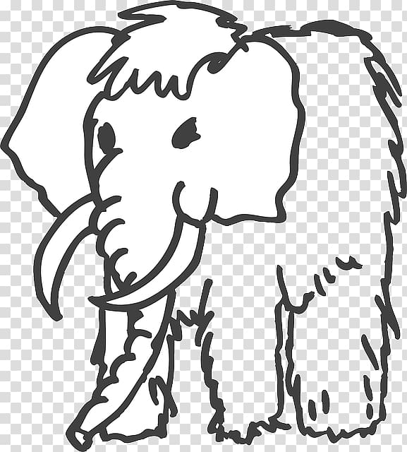 Mammuthus meridionalis Woolly mammoth Drawing Columbian mammoth , others transparent background PNG clipart