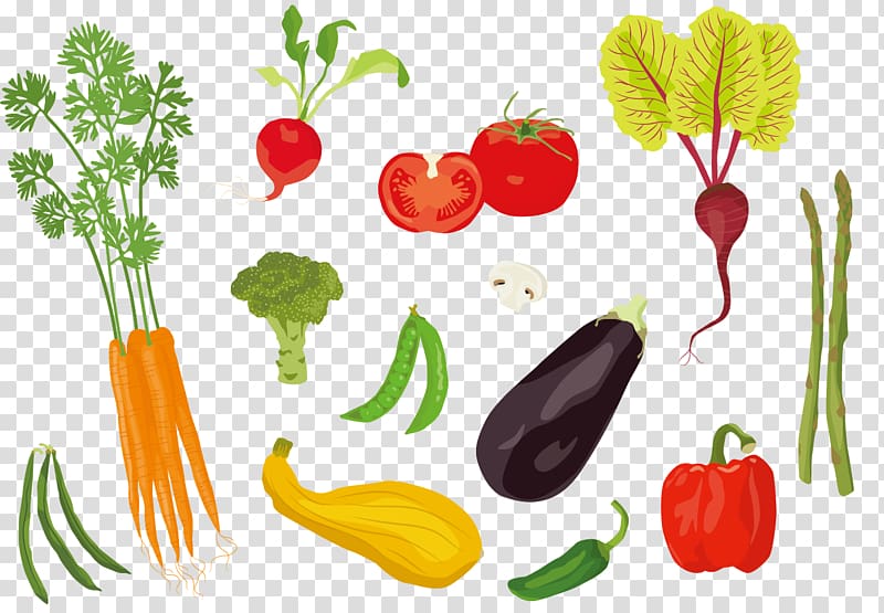 Tomato Adobe Illustrator Illustration, Vegetables material transparent background PNG clipart