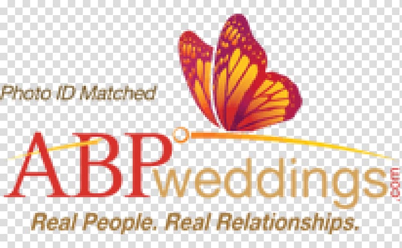 ABP News Marriage Wedding ABP Group Bride, wedding transparent background PNG clipart