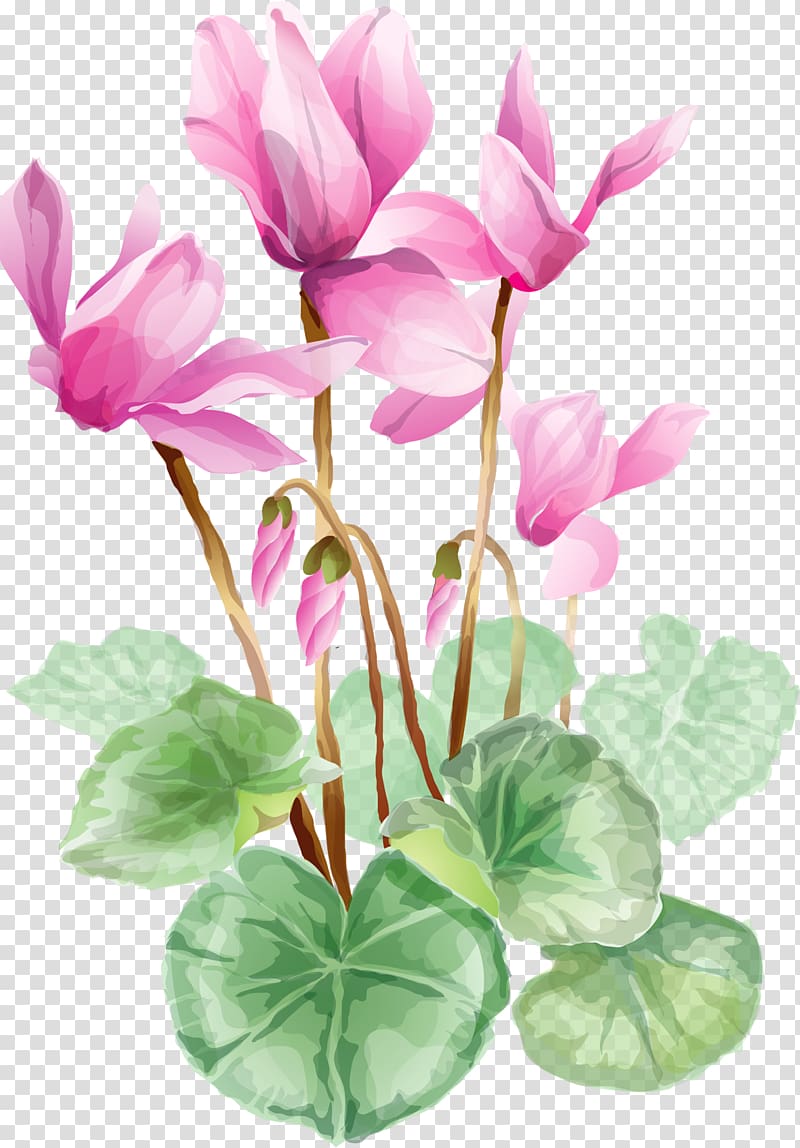 Flower , water lilies transparent background PNG clipart