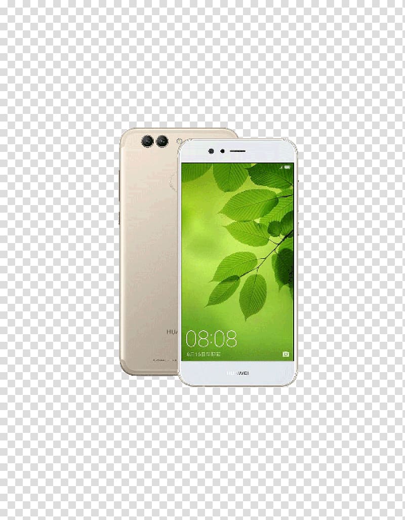 Huawei green